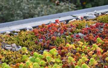 the cost of Luzley Brook green roof installation